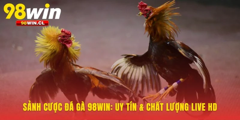 Công nghệ vượt trội đảm bảo từng khoảnh khắc chân thực